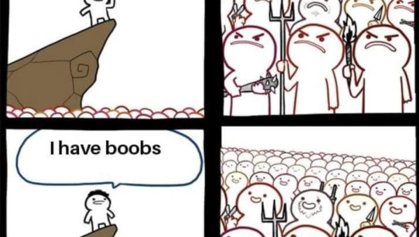 upvotes declined. activating girl mode
