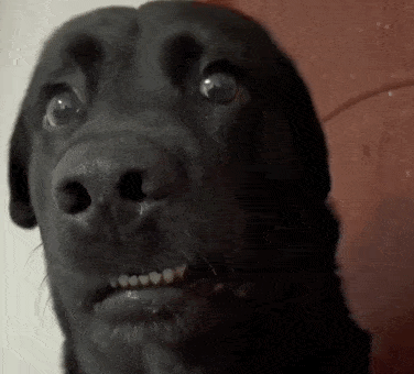 Shocked Eyes GIF by MOODMAN
