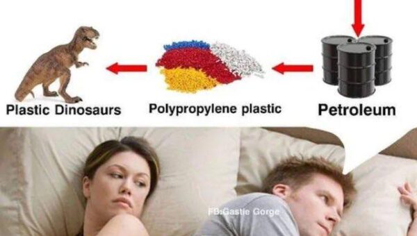 Dinossaurr