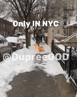 New York Fire GIF by dupreegod