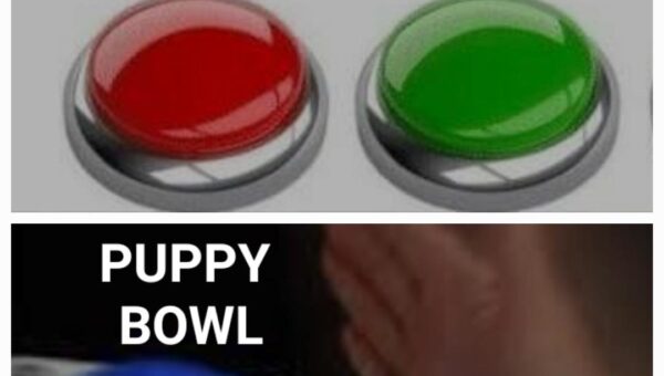Super-duper Bowl Sunday