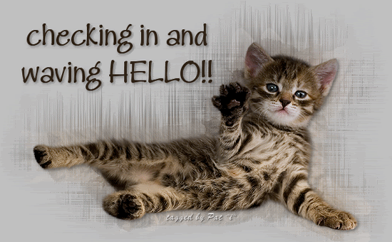 Hello