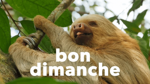 Bon Dimanche GIF by Sealed With A