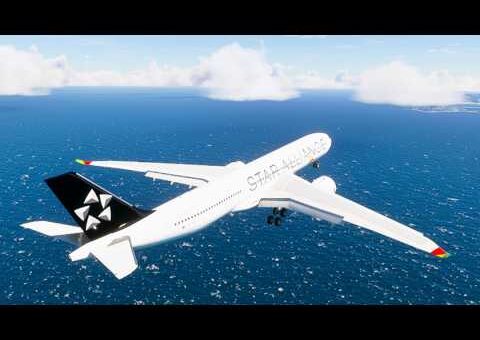 Amazing Flight Moments Caught on Camera eps. 94