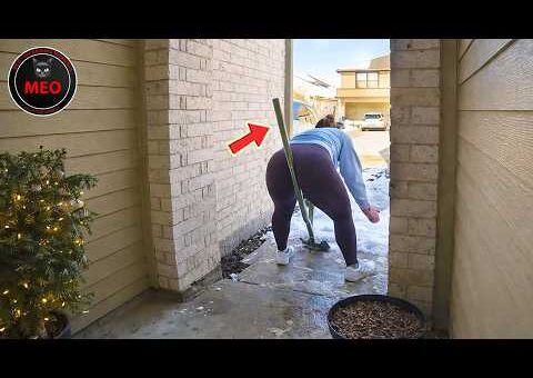 People Failing Hilariously | Moments when Things Went Wrong