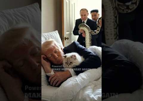 Donald Trump gets instant karma, funny video 🤣🤣 #shorts #funny