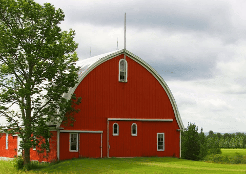 Farm Howdy