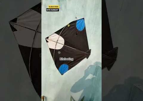 Flying kite😲#kiteflying #kitelover #viralvideo #shortfeeds