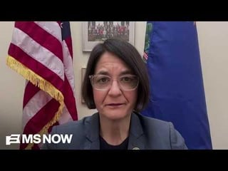 Rep. Balint: “This is the Epstein Administration.”