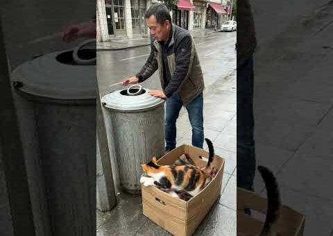 Instant Karma Caught Everything