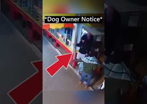 Man kicks dog then gets INSTANT karma