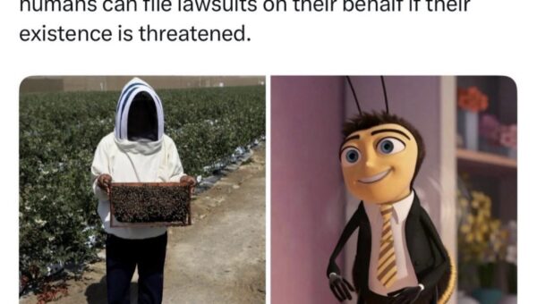 That’s awesome for the Bees