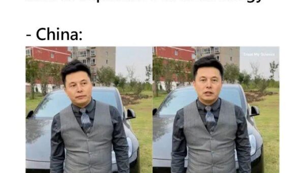 Is Elon musk of Asian descent?