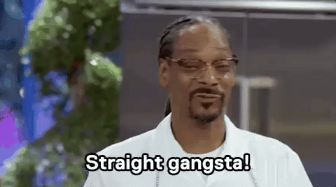 Snoop Dogg Gang GIF by MOODMAN
