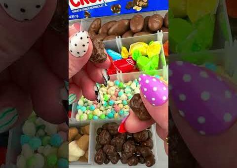 Packing School Lunch with CANDY Food *BENTO Box* Satisfying Video ASMR COMPILATION #13! #asmr 🍓🍭🍊🍉🫐