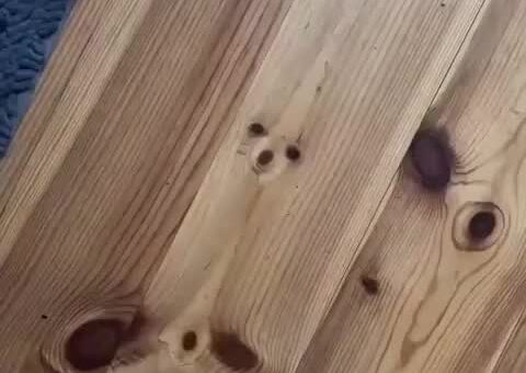 Faces in the Floor