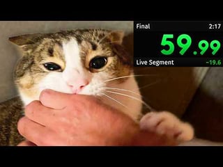 Guy turns reclaiming his computer chair from his cat into a real life video game speedrun