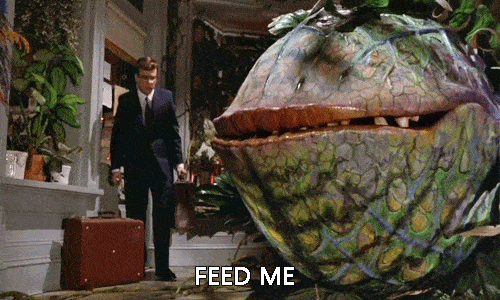 Hungry Feed Me