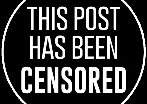 Television News GIF by Pixel Parade App