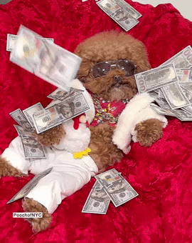 All About The Benjamins Money