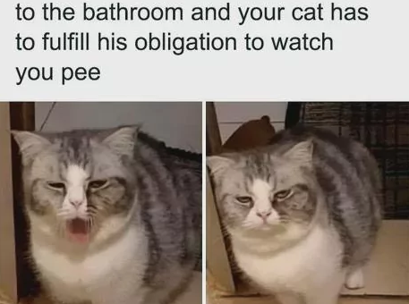 It’s their duty to do that