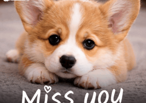 Miss You Love GIF by Lucas and Friends by RV AppStudios