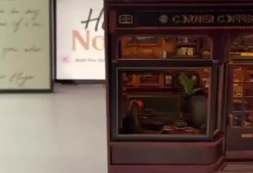 what’s this a house for ants ?