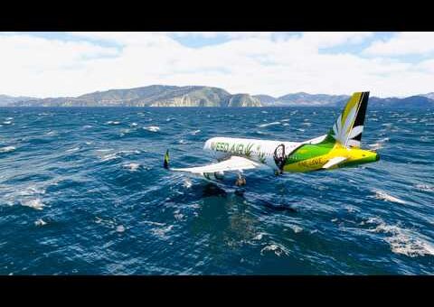 Amazing Flight Moments Caught on Camera eps. 113