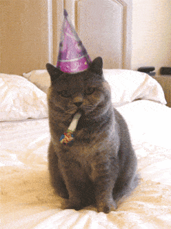 Happy Birthday Reaction