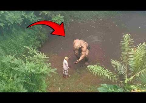 20 Unbelievable Events That Nobody Would Believe If They Weren’t Filmed