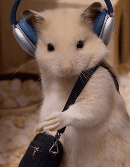 Trending GIF