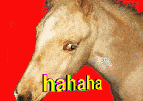 Ha Ha Lol GIF by BuzzFeed Animation