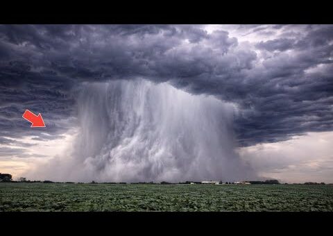 Most Unbelievable Nature Moments Ever Caught on Camera