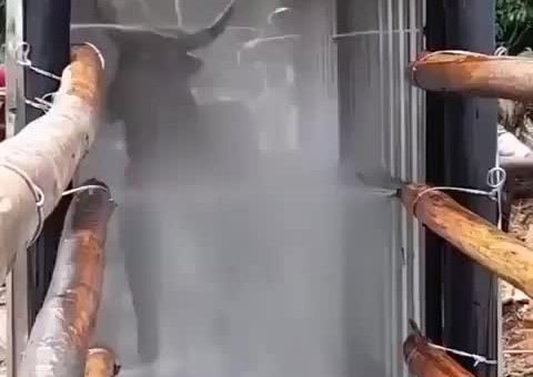 Fren shape, fren gotta shower