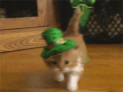 St Patricks Day Cat