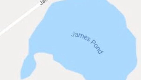 I’m sorry, what was your name again?