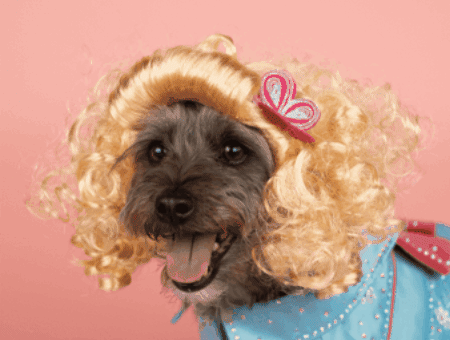 Pet Gala GIF by Dolly Parton