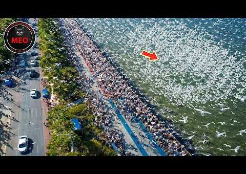 Strange Things Happening Right Now Around the World | One In a Billion Moments In Nature