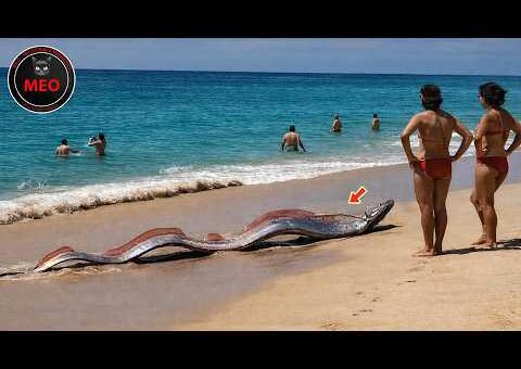 Incredible Moments Caught on Camera You Must See to Believe | 2026 New Update