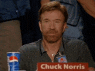 chuck norris approved