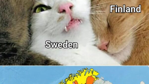 Sweden really said: personal space is optional