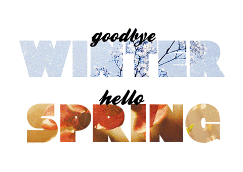 Winter Spring
