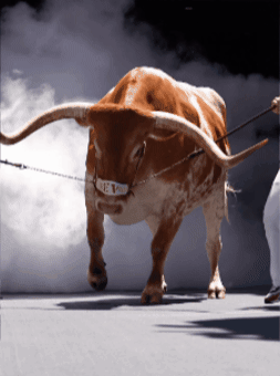Texas Football GIF by Texas Longhorns