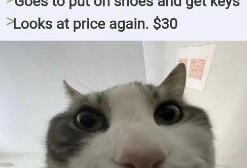 Waited 15 minutes to let the price go down again