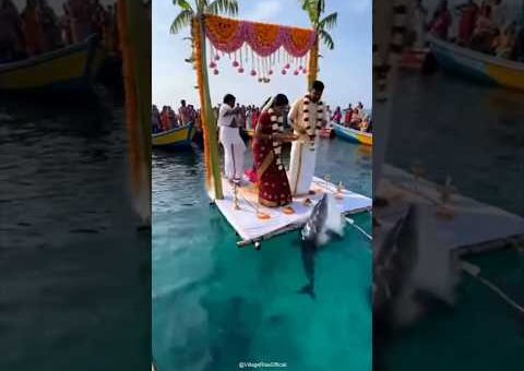 கடலில் கல்யாணம் நடக்கும்போது நடந்த அதிர்ச்சி சம்பவம்! 😳#trendingnow #viral
