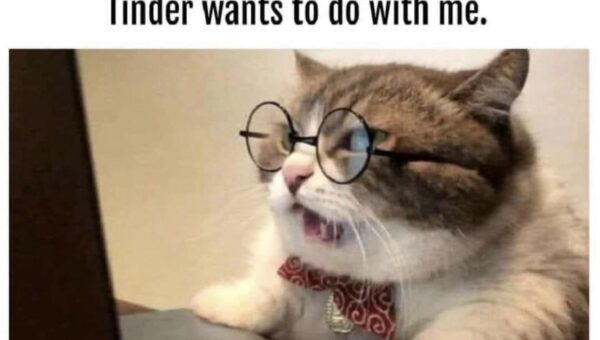 He said what?