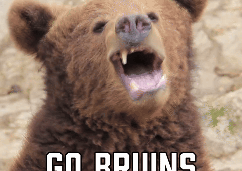 College Sports Sport GIF by Sealed With A