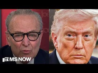 Sen. Schumer slams Trump and ‘spineless Republicans’ for holding up TSA (Transportation and Safety Administration)…