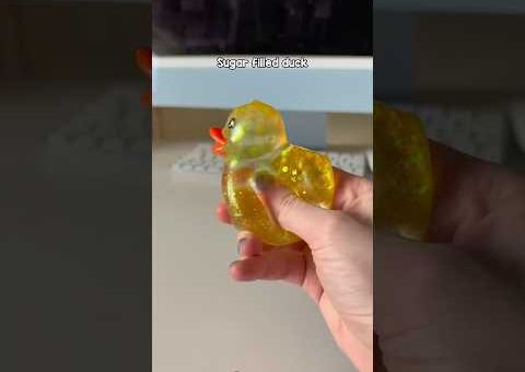 Rating my squishy duck collection 🐤