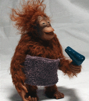 blow dry hair